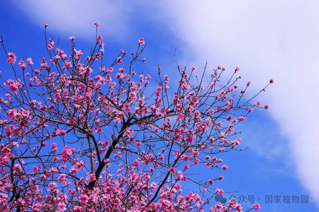 日 京城事儿全知道九游会网站4月1(图7)